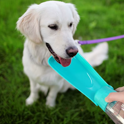 Gourde pour Chien – Hydratation facile, partout et à tout moment